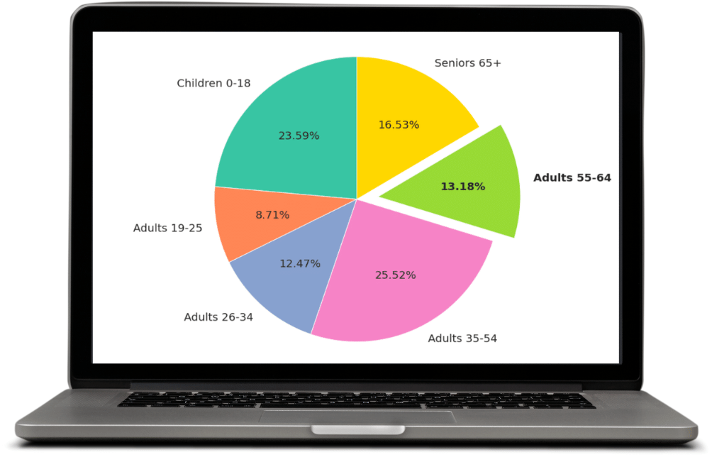 Customer Data Analysis Tool